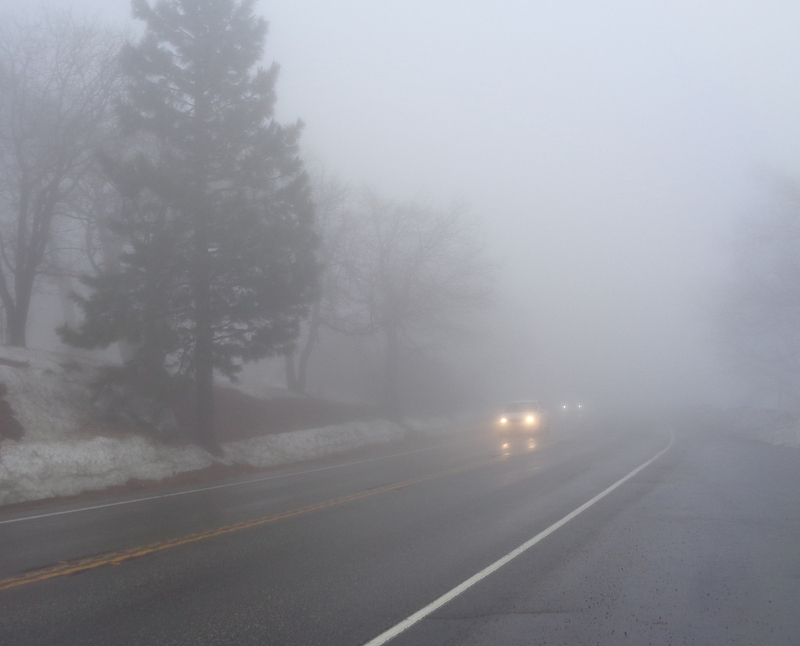cars on a foggy road