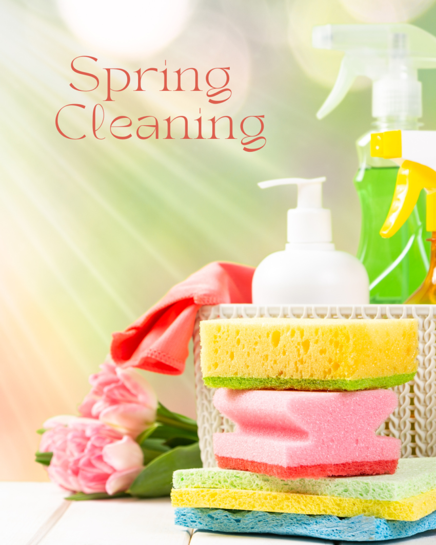 spring cleaning equipment