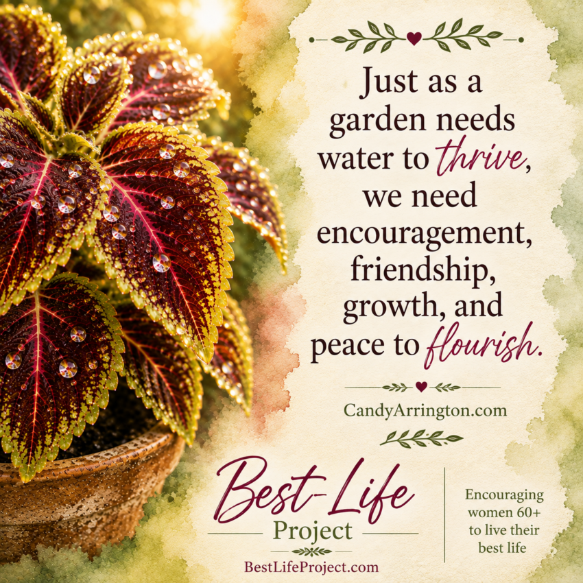 A watercolor-style quote graphic featuring a dew-covered coleus plant in warm evening light beside the quote, "Just as a garden needs water to thrive, we need encouragement, friendship, growth, and peace to flourish." The graphic includes CandyArrington.com and Best-Life Project branding.